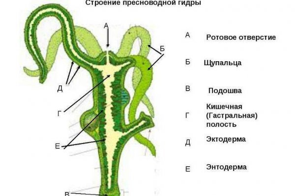 Мега зеркало официально