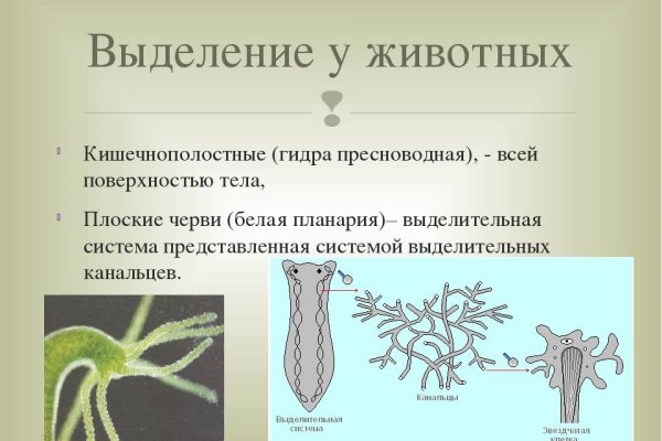 Не работает кракен через тор сегодня