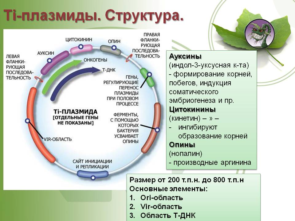 Как пополнить баланс на блэкспрут